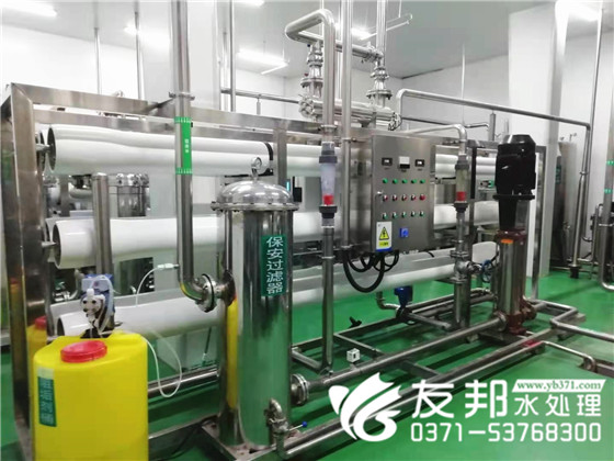 河南30吨纯净水设备